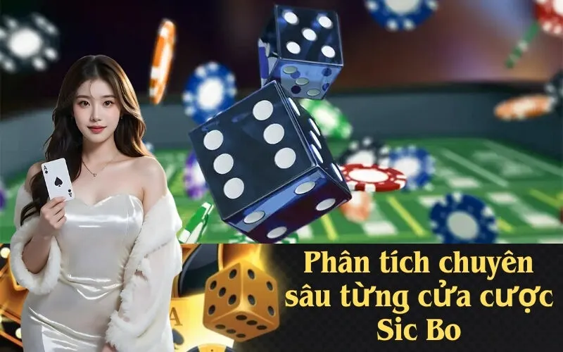 Phân tích chuyên sâu từng cửa cược Sic Bo