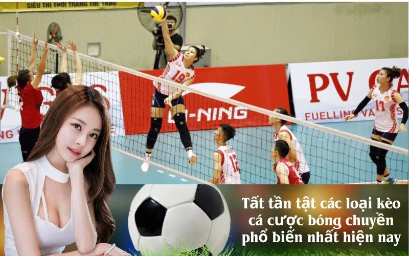 Tất tần tật các loại kèo cá cược bóng chuyền phổ biến nhất hiện nay